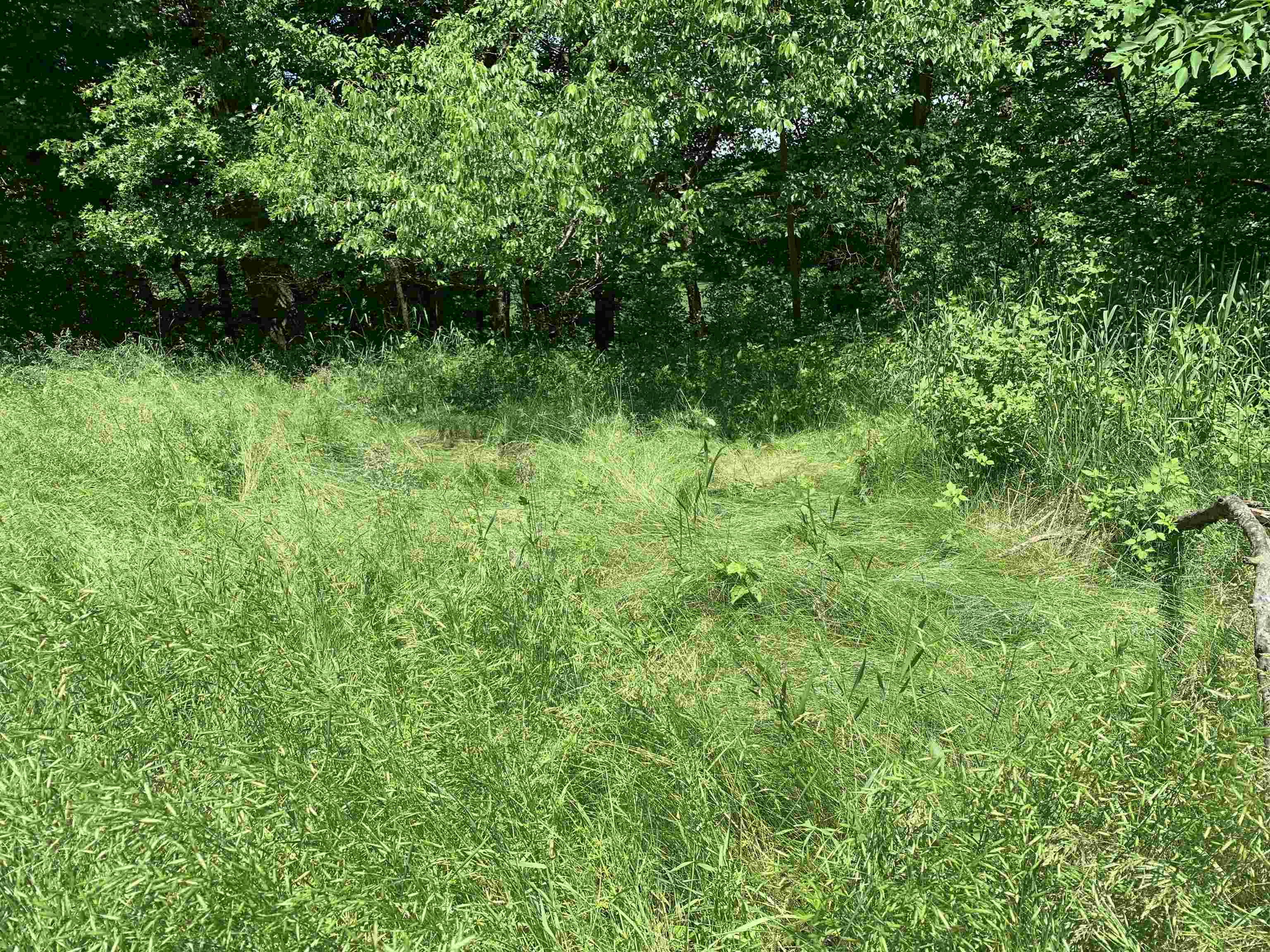 3954 Oak Potosi, WI 53820 - Photo 12 of 32