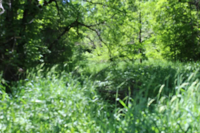 $1,219,000 | 3954 Oak, Potosi, WI 53820