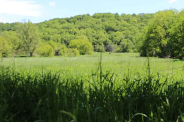 $1,219,000 | 3954 Oak, Potosi, WI 53820