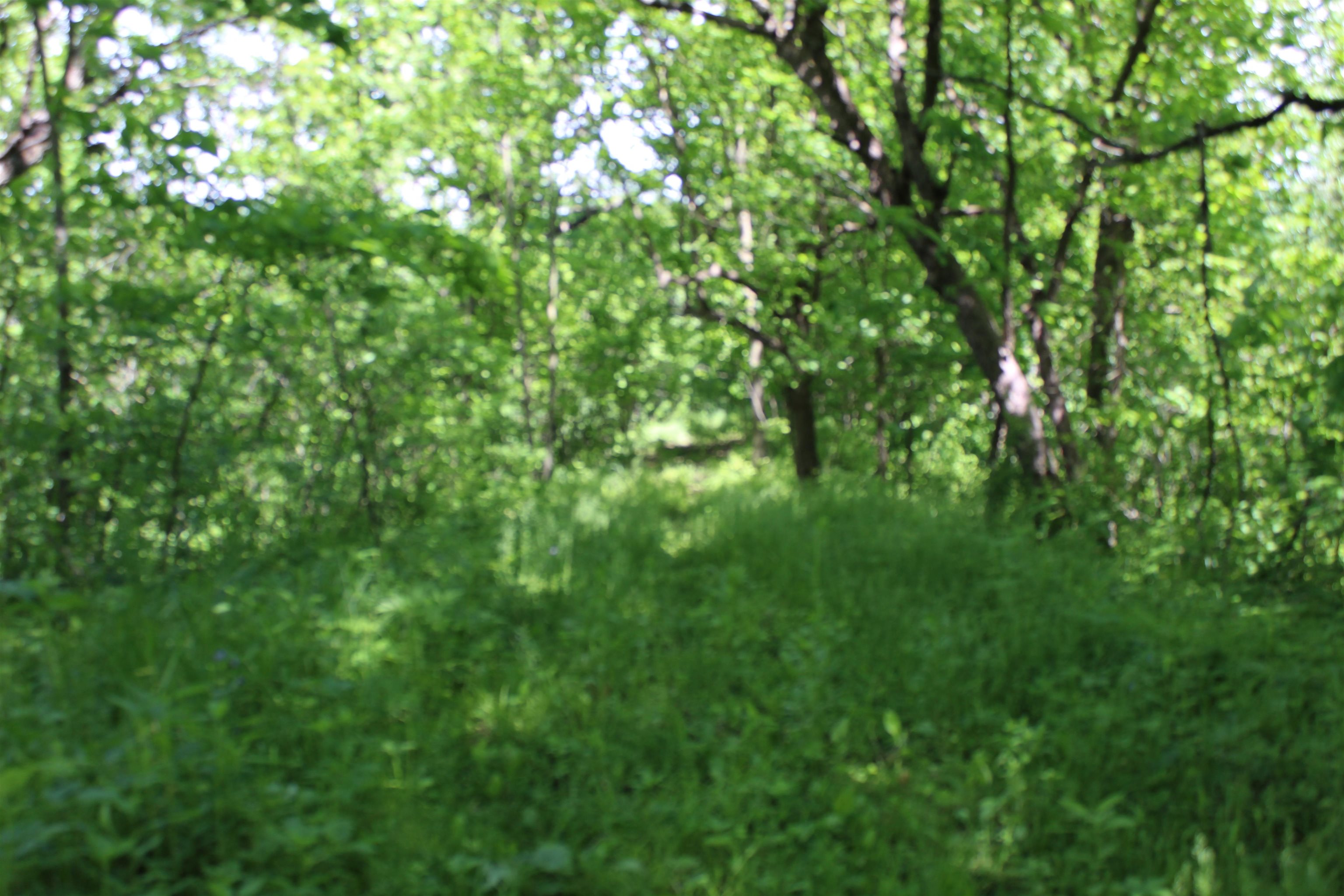 3954 Oak Potosi, WI 53820 - Photo 16 of 32