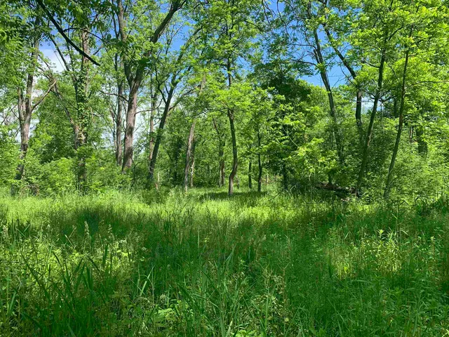 $1,219,000 | 3954 Oak, Potosi, WI 53820