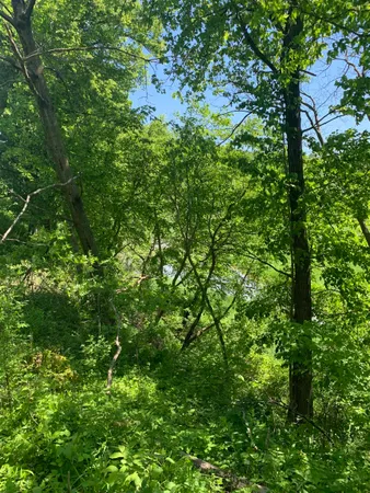 $1,219,000 | 3954 Oak, Potosi, WI 53820