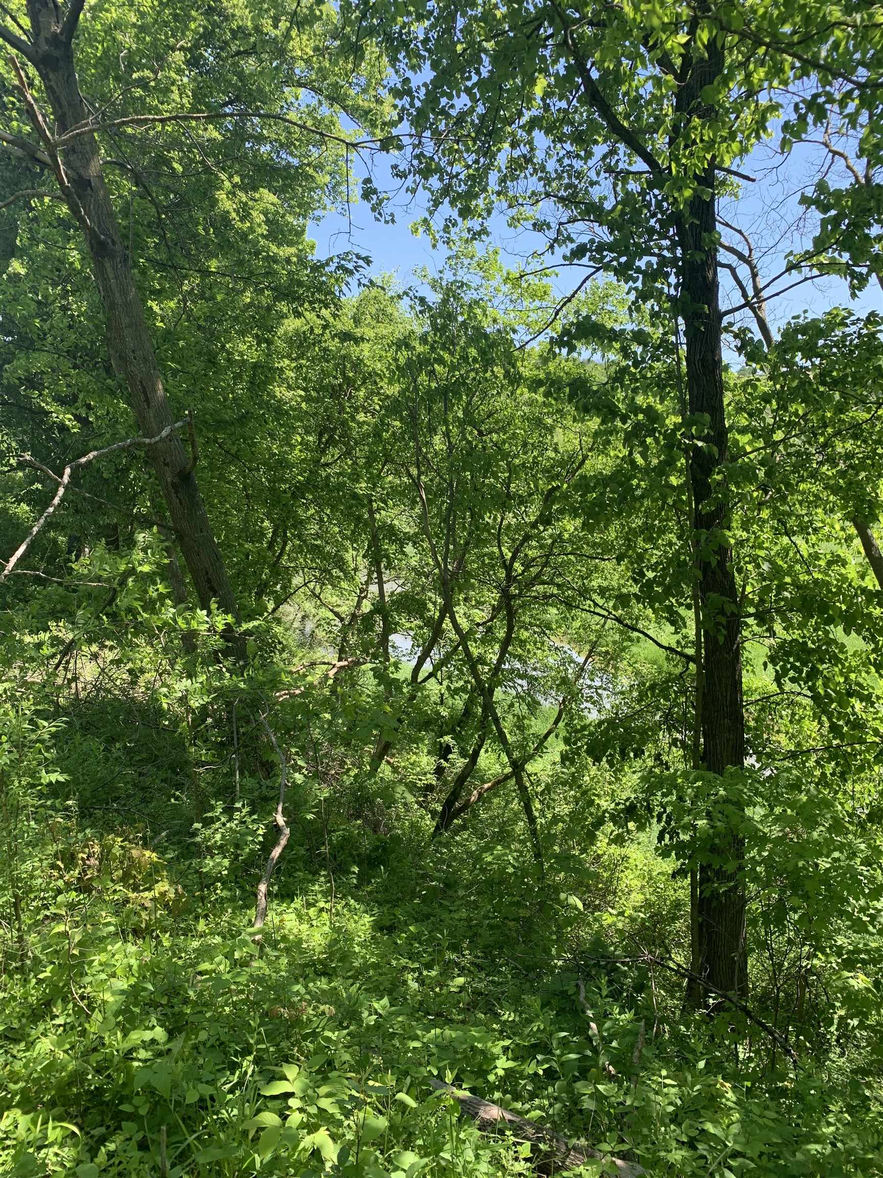 3954 Oak Potosi, WI 53820 - Photo 20 of 32