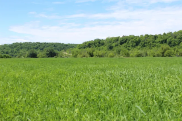 $1,258,850 | 3954 Oak, Potosi, WI 53820