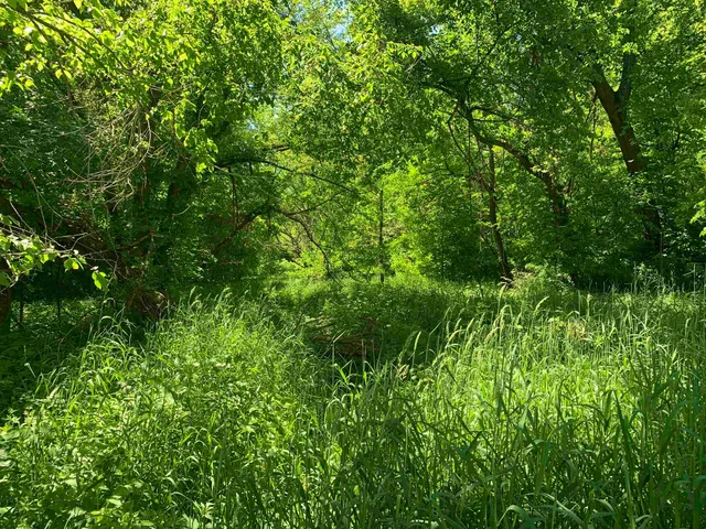 $1,258,850 | 3954 Oak, Potosi, WI 53820