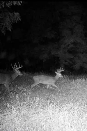 $1,219,000 | 3954 Oak, Potosi, WI 53820