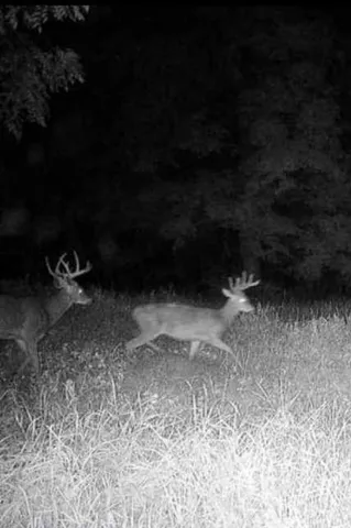 $1,219,000 | 3954 Oak, Potosi, WI 53820