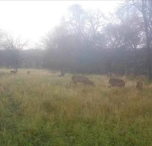 $1,219,000 | 3954 Oak, Potosi, WI 53820