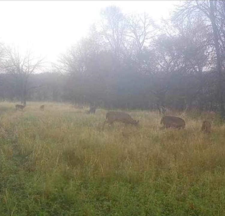 3954 Oak Potosi, WI 53820 - Photo 29 of 32