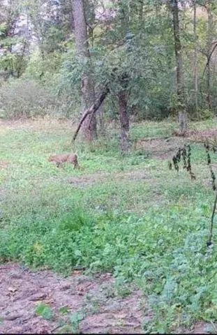 $1,258,850 | 3954 Oak, Potosi, WI 53820