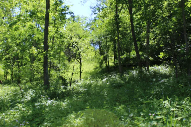 $1,258,850 | 3954 Oak, Potosi, WI 53820