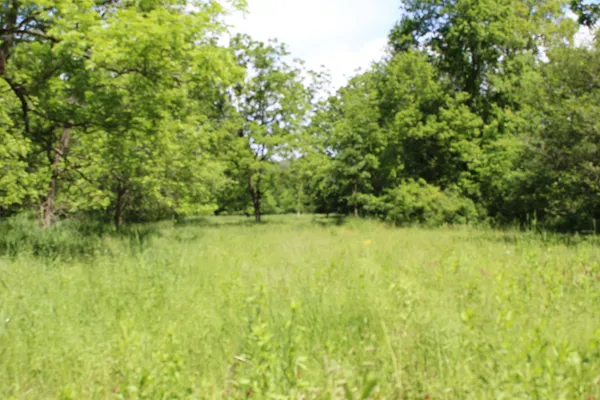 $1,219,000 | 3954 Oak, Potosi, WI 53820