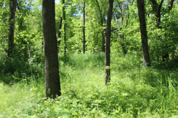 $1,219,000 | 3954 Oak, Potosi, WI 53820