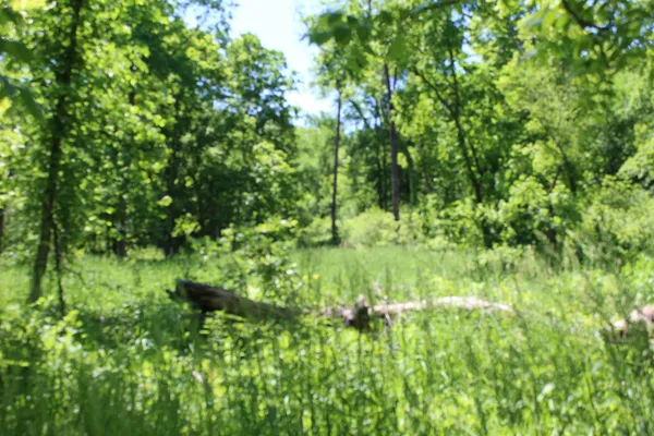 $1,219,000 | 3954 Oak, Potosi, WI 53820