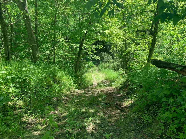 $1,219,000 | 3954 Oak, Potosi, WI 53820