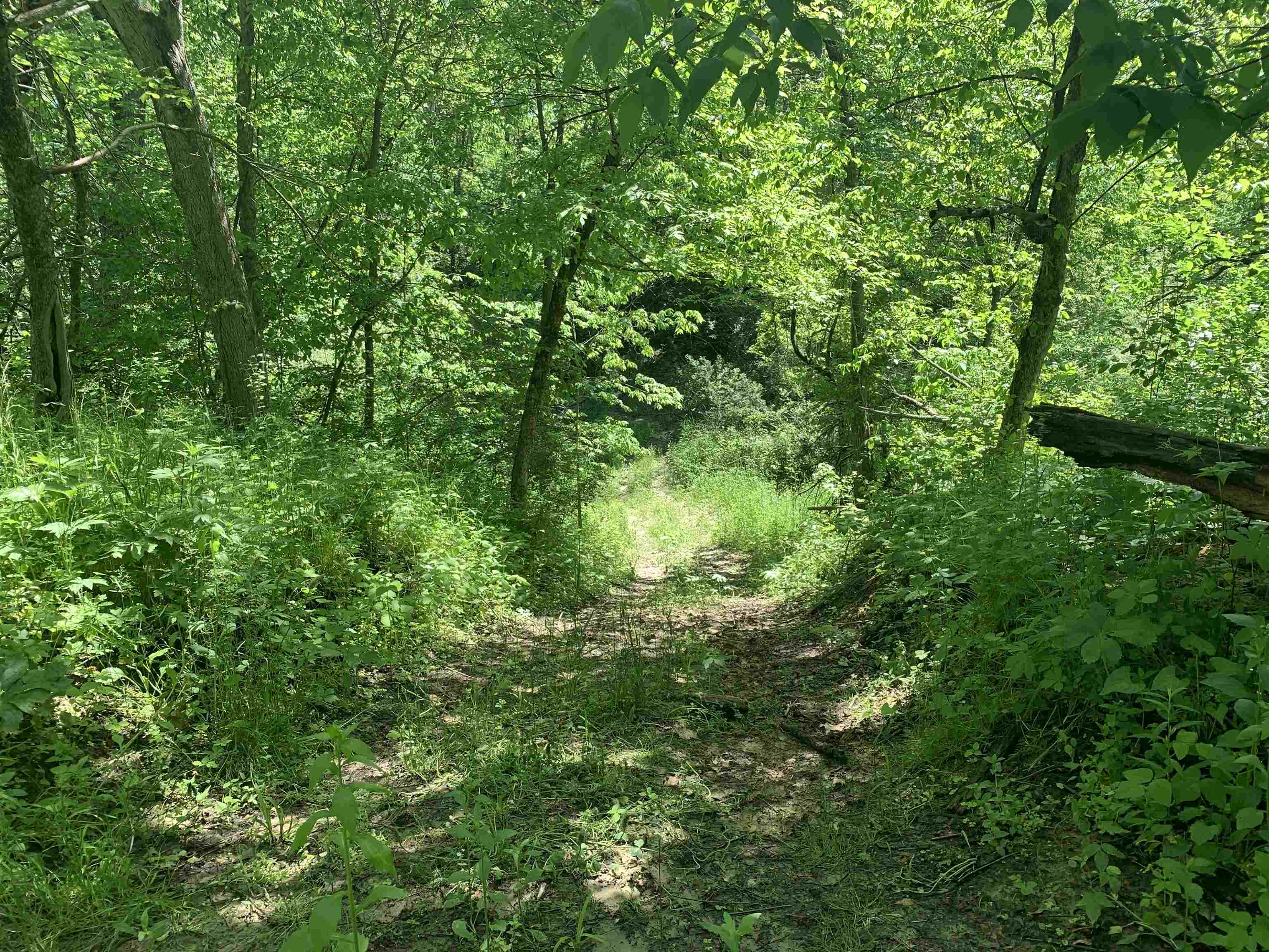 3954 Oak Potosi, WI 53820 - Photo 8 of 32