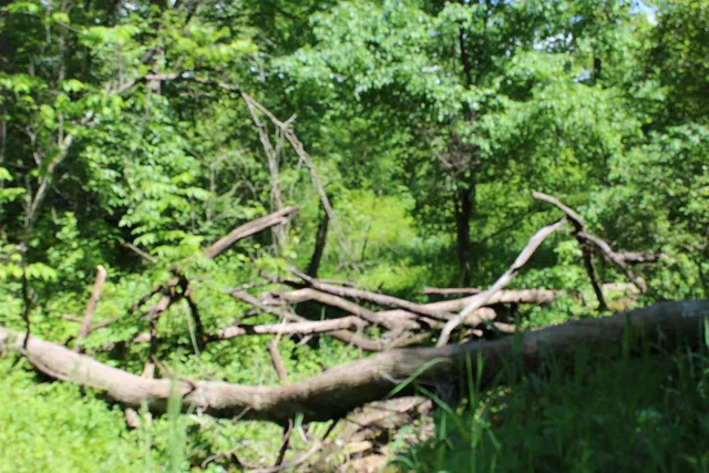 $1,258,850 | 3954 Oak, Potosi, WI 53820