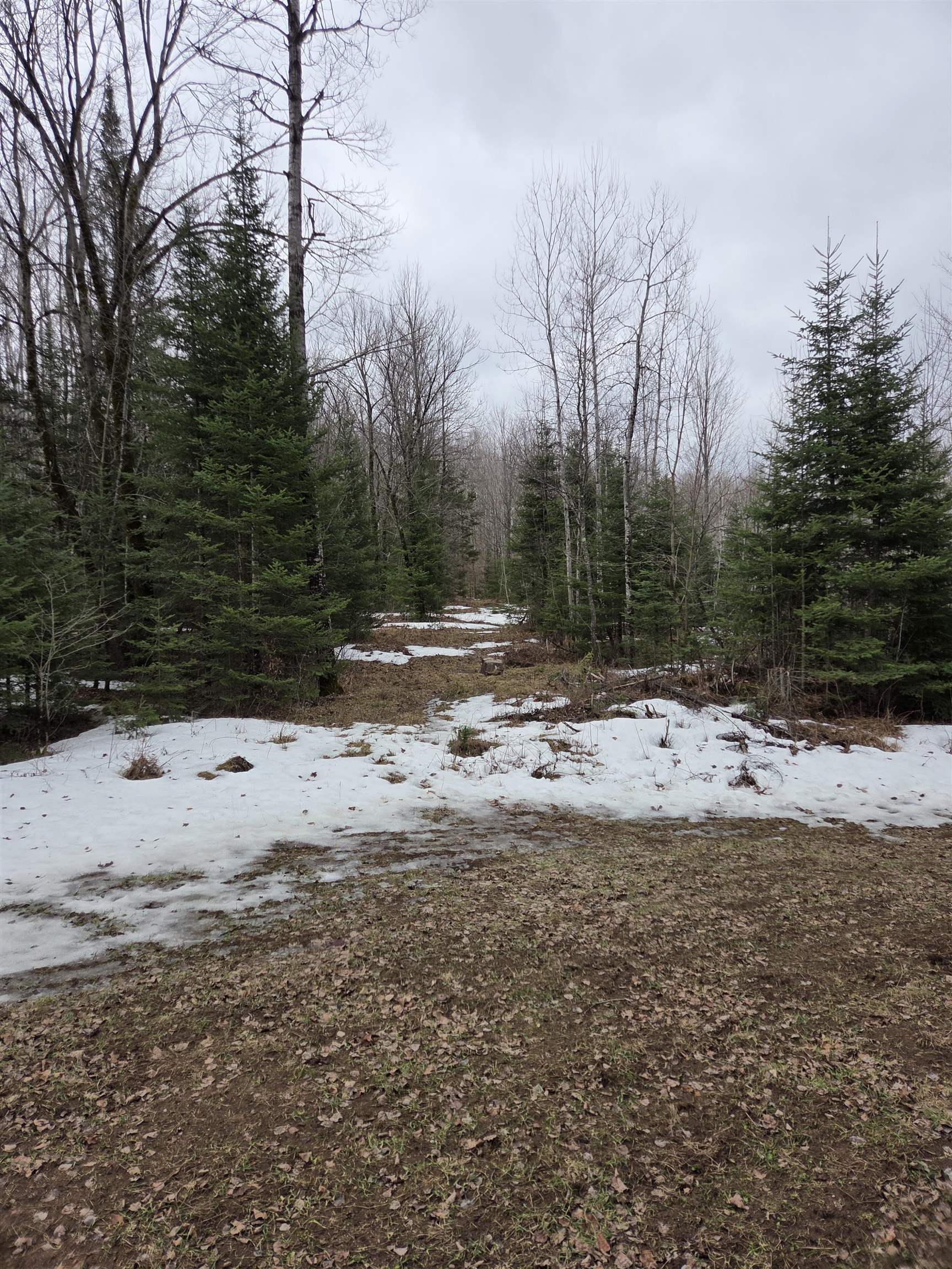 County Road Amberg, WI 54102 - Photo 13 of 19