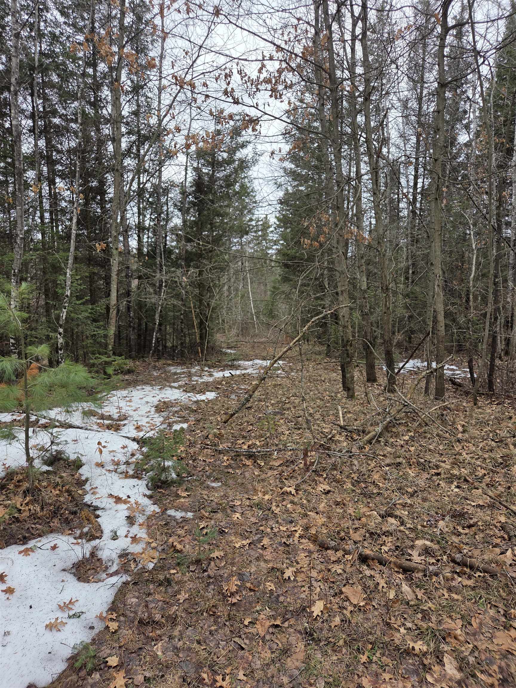 County Road Amberg, WI 54102 - Photo 2 of 19