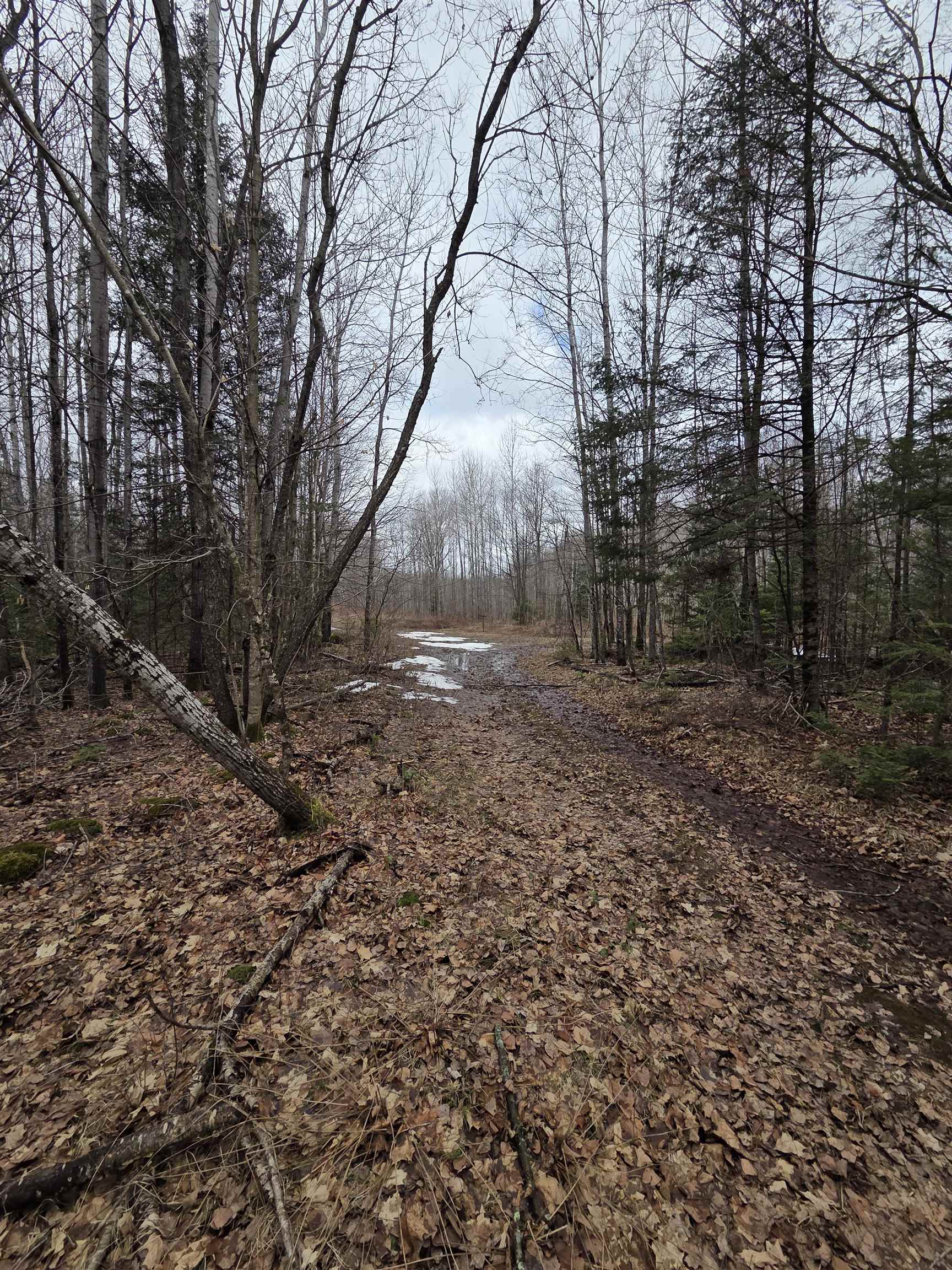 County Road Amberg, WI 54102 - Photo 4 of 19