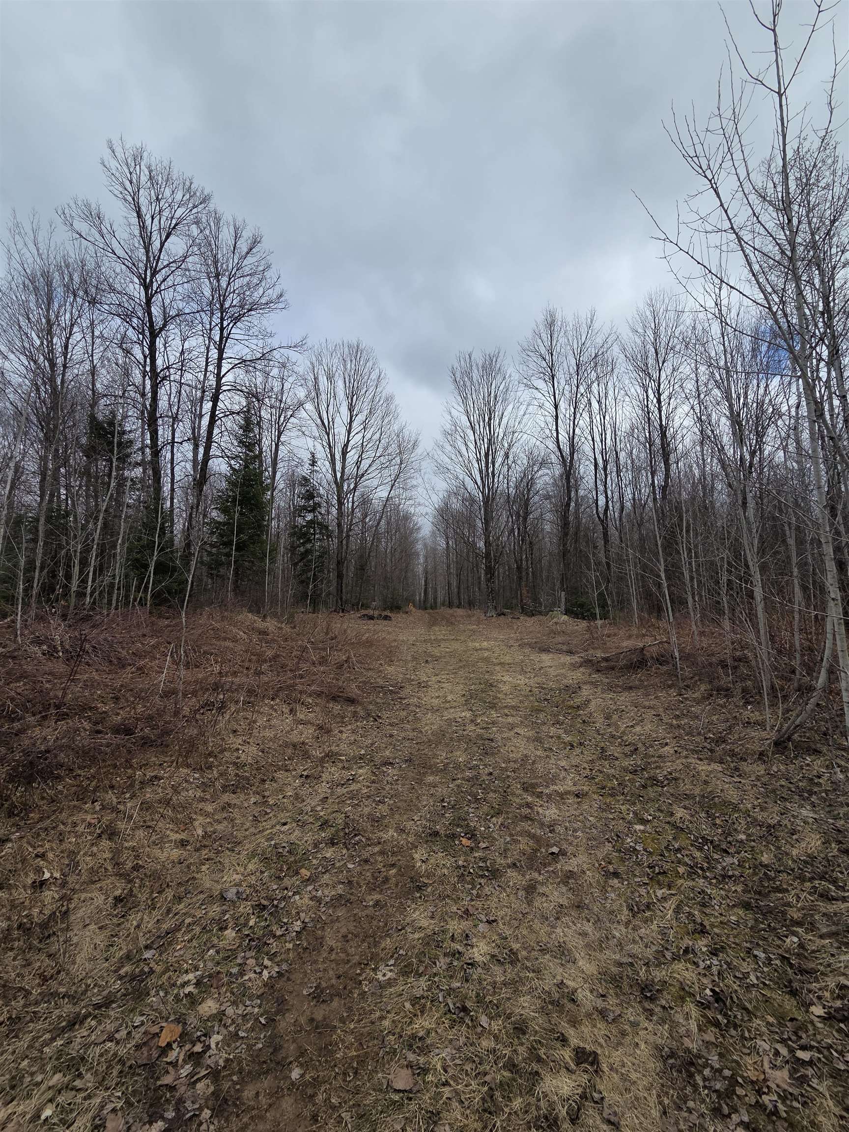 County Road Amberg, WI 54102 - Photo 6 of 19