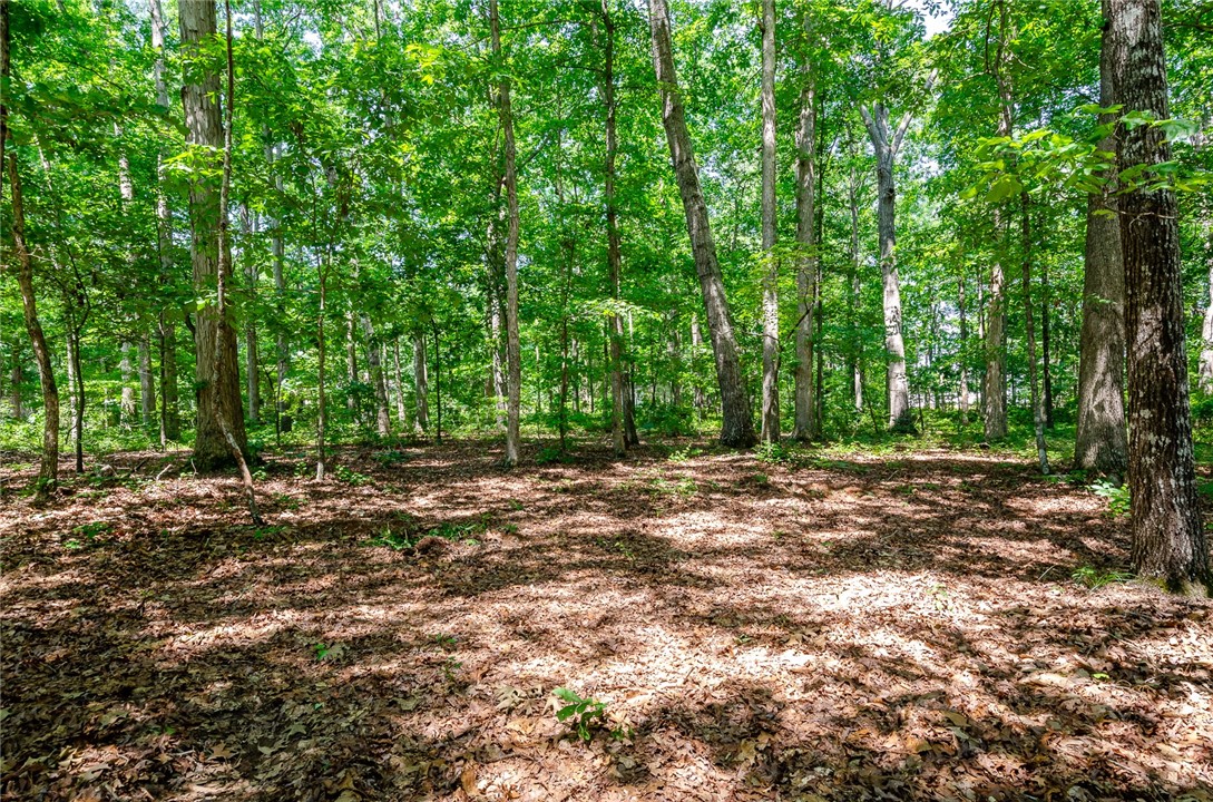 831 Blake Dairy Road Belton, SC 29627 - Photo 29 of 36