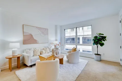 a living room with furniture and a potted plant