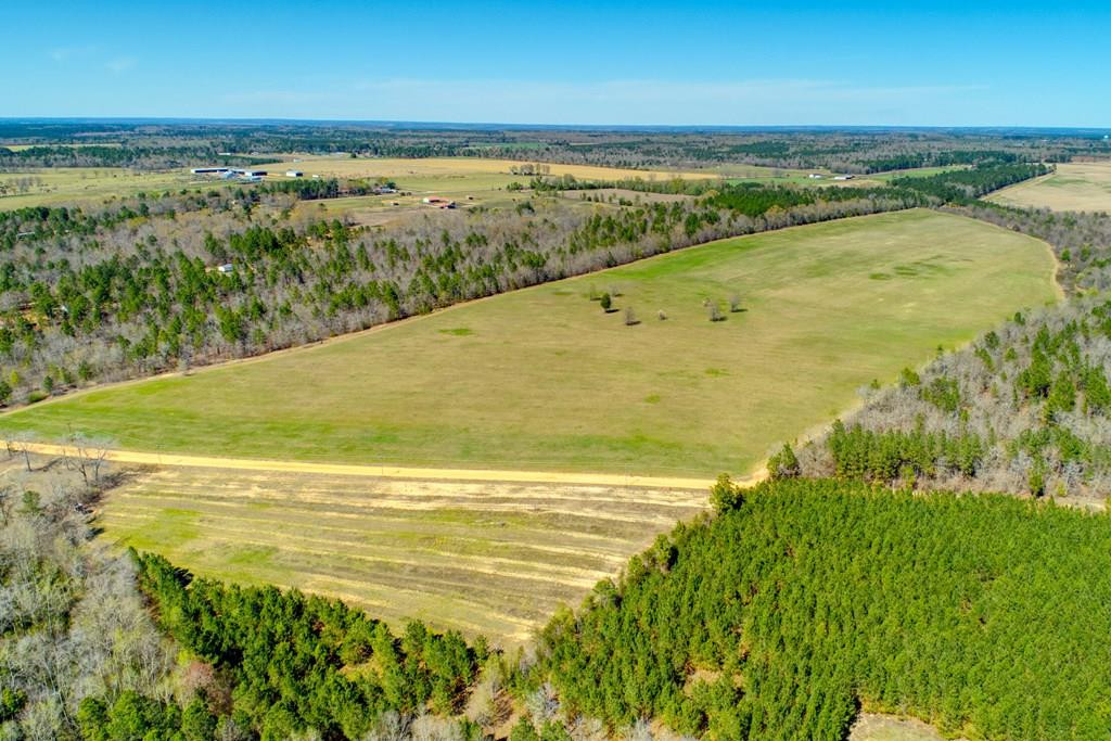 509 Shadow Lane Road Wagener, SC 29164 - Photo 4 of 9