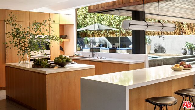 a kitchen with a stove a sink and a potted plant