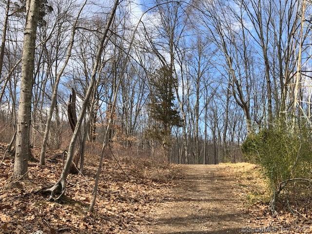 3.8 acres, rear level private lot located at the end of a Cul-de-sac in Greenfield Hill. Build your dream home, all approved and ready to go!