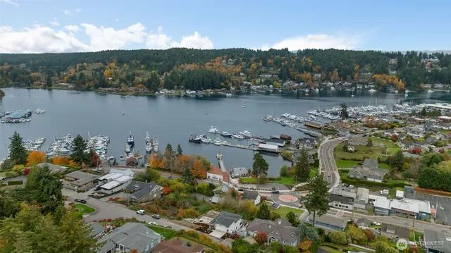 a view of a lake with a mountain