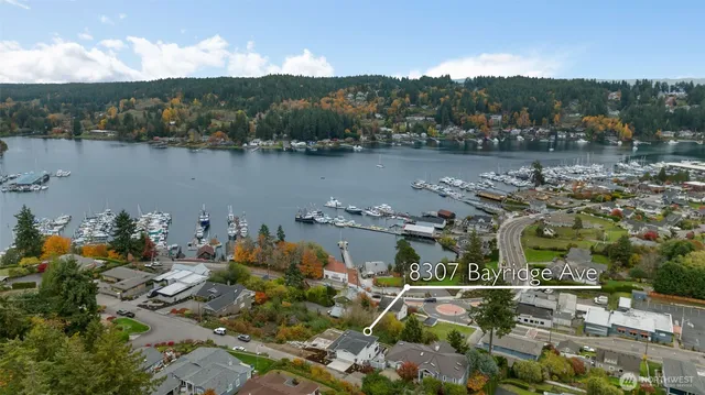 a view of a lake with a mountain in the background