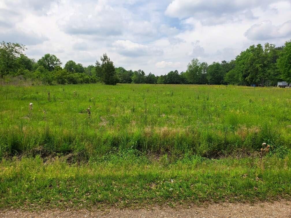 0 Karen Lynn Road Amite, LA 70422 - Photo 1 of 6 Gallery Image 1