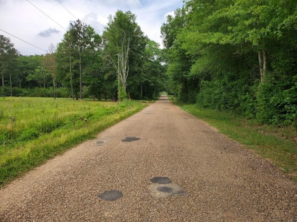 0 Karen Lynn Road Amite, LA 70422 - Photo 2 of 6 Gallery Image 2