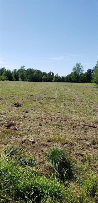 0 Karen Lynn Road Amite, LA 70422 - Photo 4 of 6 Gallery Image 4