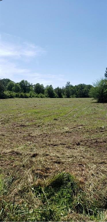 0 Karen Lynn Road Amite, LA 70422 - Photo 5 of 6 Gallery Image 5