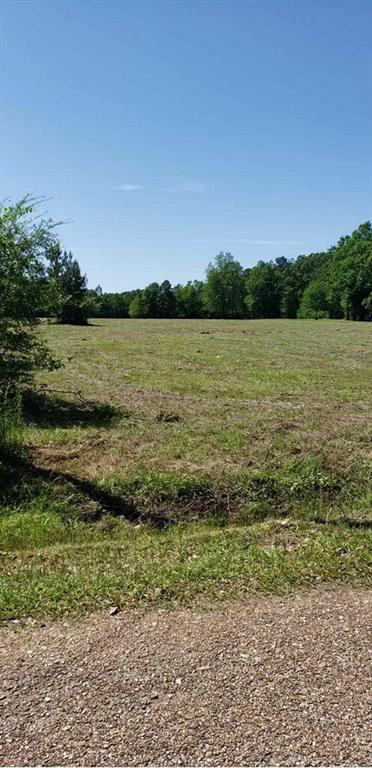 0 Karen Lynn Road Amite, LA 70422 - Photo 6 of 6 Gallery Image 6