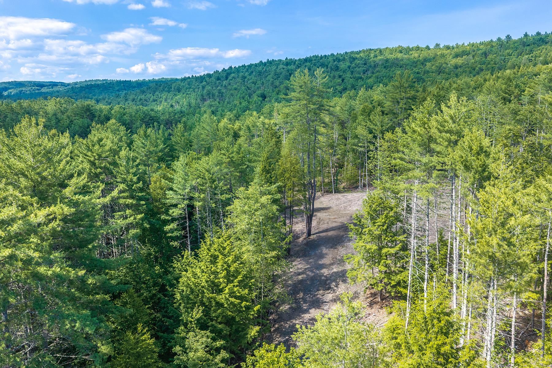 40 East Putney Brook Road Putney, VT 05346 - Photo 10 of 19