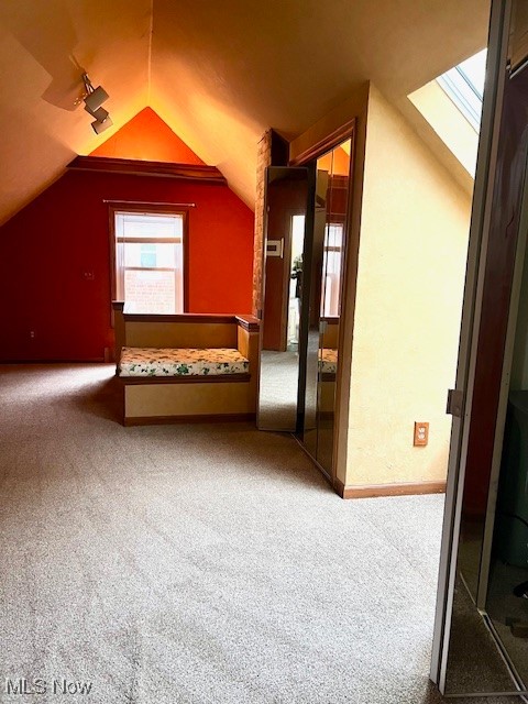 1260 Argonne Road Cleveland, OH 44121 - Photo 36 of 50 Bonus room featuring lofted ceiling with skylight and carpet floors