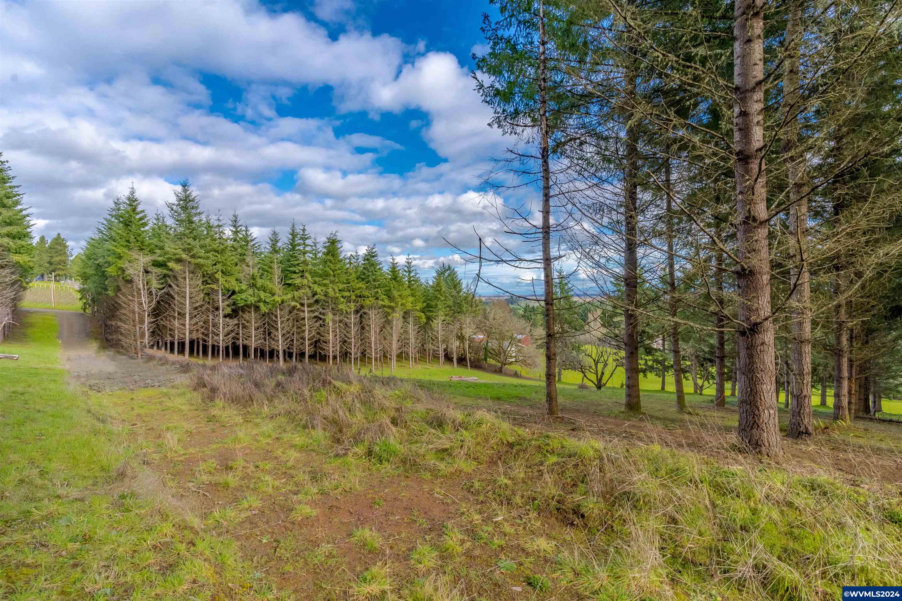 Larson (ta R421034) Road Monroe, OR 97456 - Photo 6 of 30