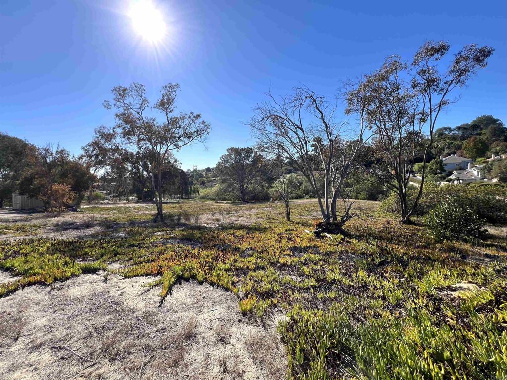 Mays Hollow Lane Encinitas, CA 92024 - Photo 3 of 5 a view of a yard with a tree