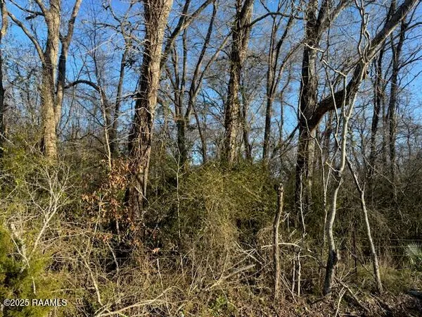 $70,000 | 1 Heard Sylvester Road, Washington, LA 70589