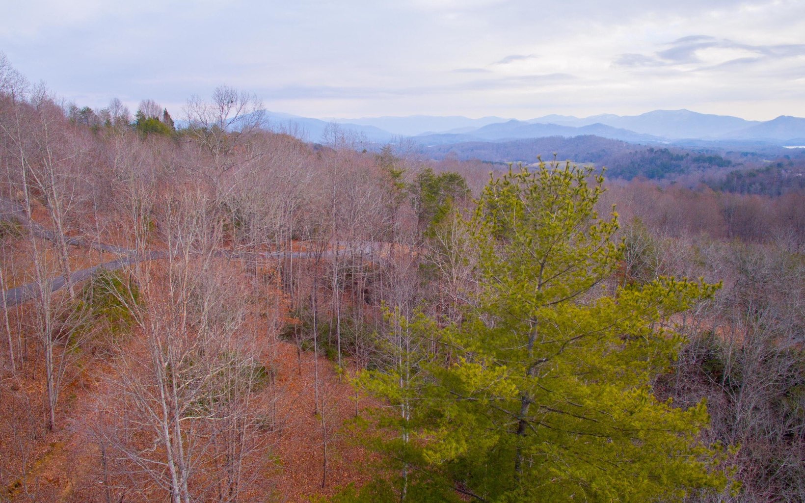 641 Smoke Rise Drive Hayesville, NC 28904 - Photo 4 of 4 Additional View