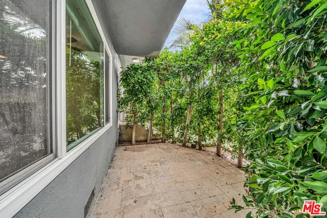a view of a garden with plants and large trees