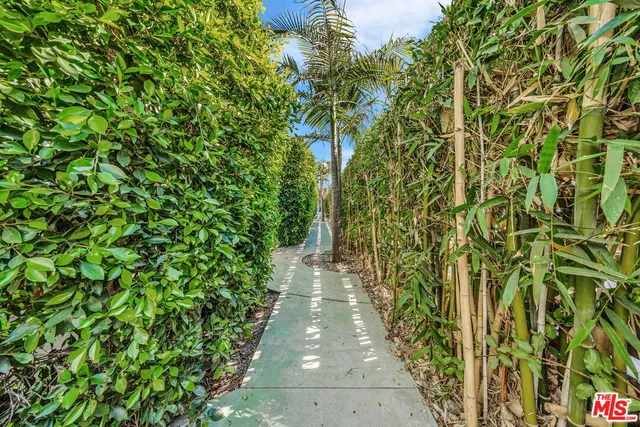 a view of a pathway in a yard