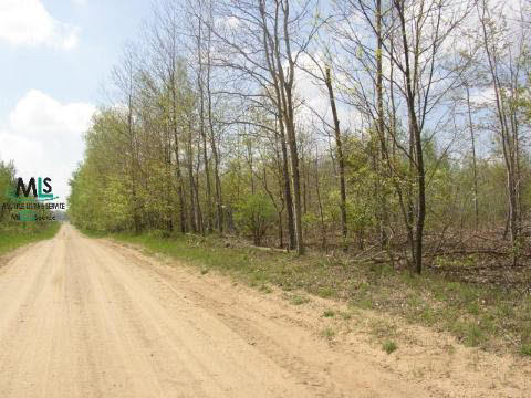 0 Joshua Road Cass City, MI 48726 - Photo 5 of 6 879325-4.JPG