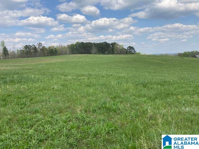 2001 Oaks Chapel Road, Unit 12 51 AC Goodwater, AL 35072 - Photo 1 of 5