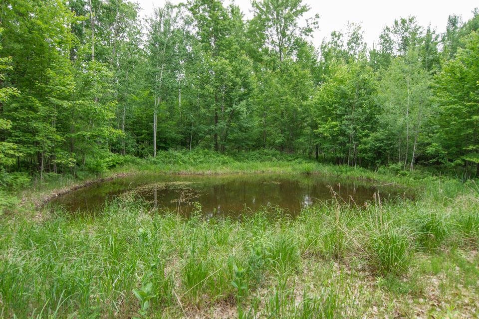 10828 North Chippewa Road Coleman, MI 48618 - Photo 21 of 28 1900865-20.JPG