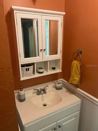 a bathroom with a sink and a mirror