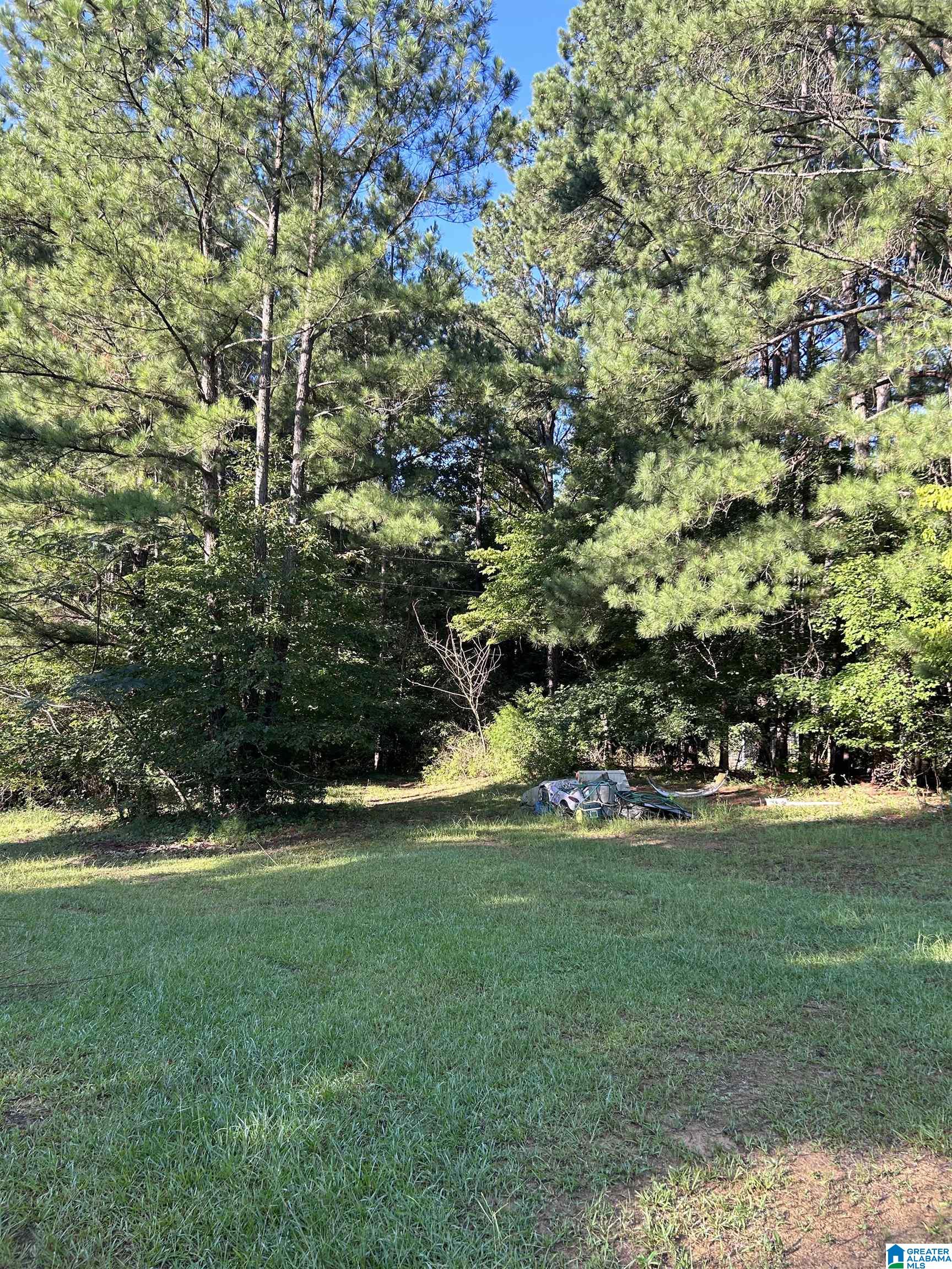 9672 Silley Dean Road, Unit MOORES SUBDIVISION Pinson, AL 35126 - Photo 7 of 8